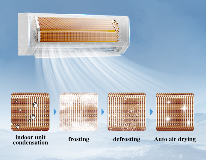 Điều Hòa AUX Inverter 1 Chiều 9000BTU AW10CAA4DI-3VN 15 Che do tu lam sach